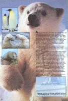 mm-1981-06_24.jpg